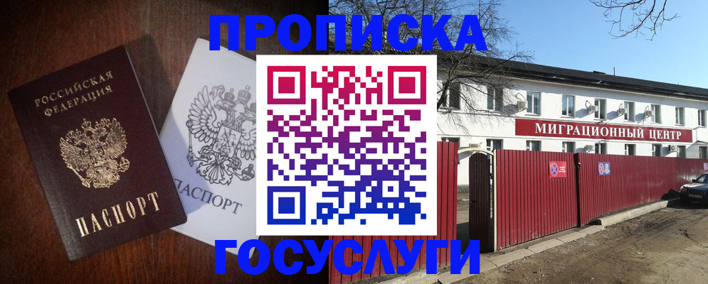прописка поиск в Новосибирске